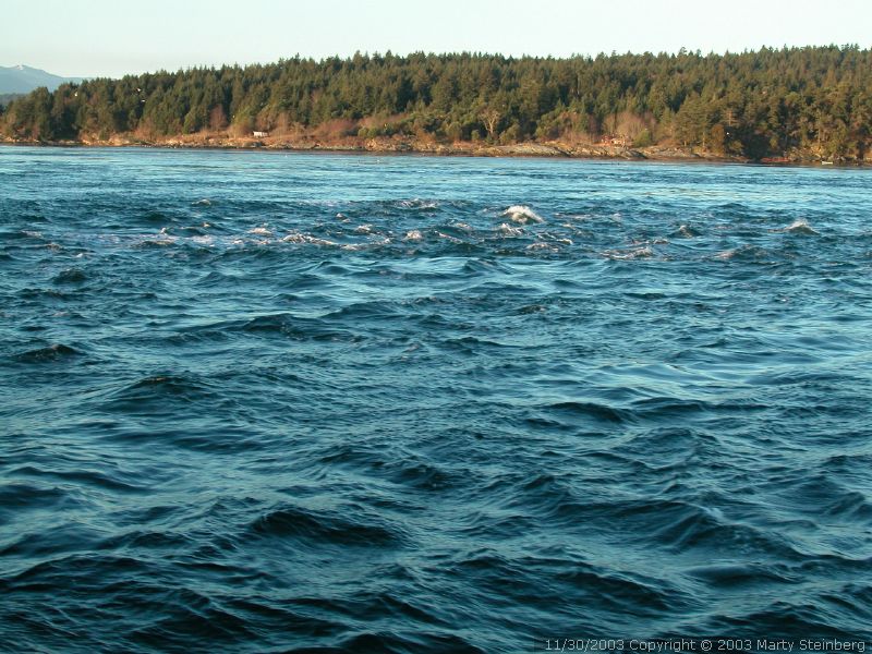 Very Swift Waters on Route to Race Point