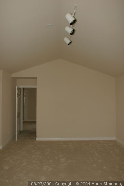 Lights and carpeting in bonus room.